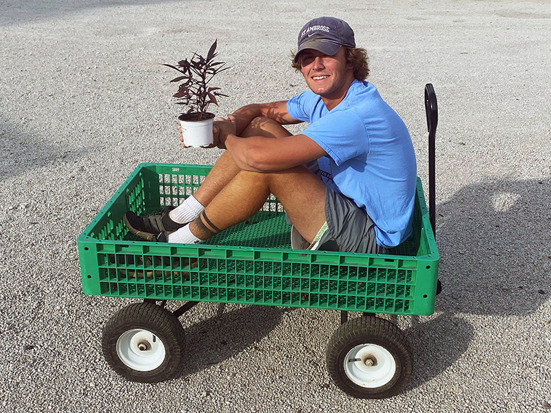 Jack Loves His Cart Rides